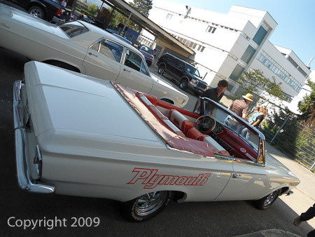 DSC-W510- 1/500 Sek. bei f / 2,8- 236