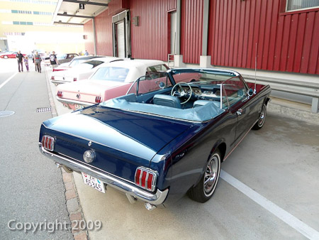 DSC-W510- 1/80 Sek. bei f / 2,8- 236