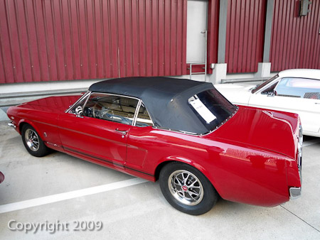 DSC-W510- 1/80 Sek. bei f / 2,8- 236