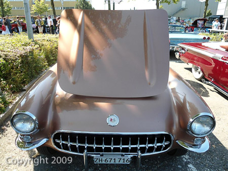 DSC-W510- 1/250 Sek. bei f / 2,8- 236