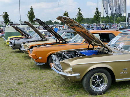 DMC-TZ31- 1/800 Sek. bei f / 4,5- 189