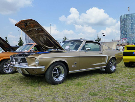 DMC-TZ31- 1/1600 Sek. bei f / 3,7- 189