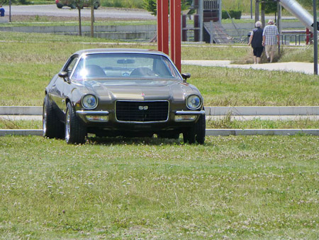 DMC-TZ31- 1/500 Sek. bei f / 6,4- 189