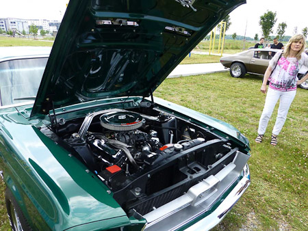 DMC-TZ31- 1/250 Sek. bei f / 4,0- 189