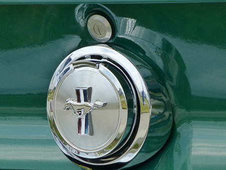 DMC-TZ31- 1/500 Sek. bei f / 5,9- 189