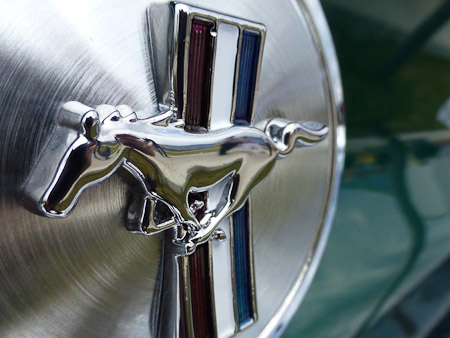 DMC-TZ31- 1/500 Sek. bei f / 4,0- 189