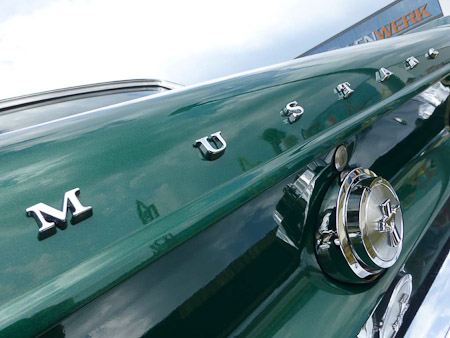 DMC-TZ31- 1/400 Sek. bei f / 4,0- 189