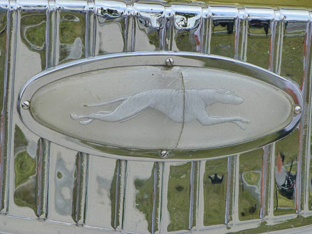 DMC-TZ31- 1/250 Sek. bei f / 5,6- 189