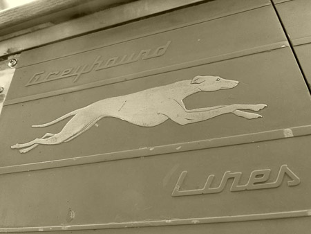 DMC-TZ31- 1/50 Sek. bei f / 3,3- 189