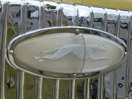 DMC-TZ31- 1/200 Sek. bei f / 5,2- 189