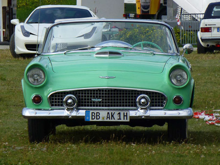 DMC-TZ31- 1/250 Sek. bei f / 6,4- 189