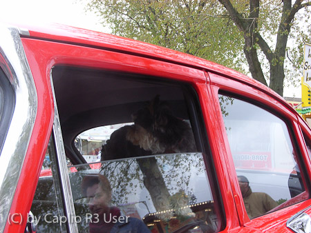 Caplio R3- 1/50 Sek. bei f / 4,5- 228