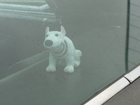 CX2- 1/140 Sek. bei f / 4,8- 228