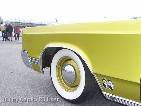 Caplio R3- 1/140 Sek. bei f / 3,6- 228