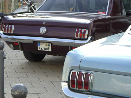 EX-Z700- 1/160 Sek. bei f / 5,2- 111