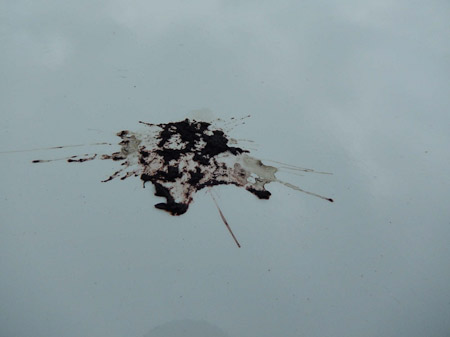 COOLPIX S9500- 1/400 Sek. bei f / 6,8- 214