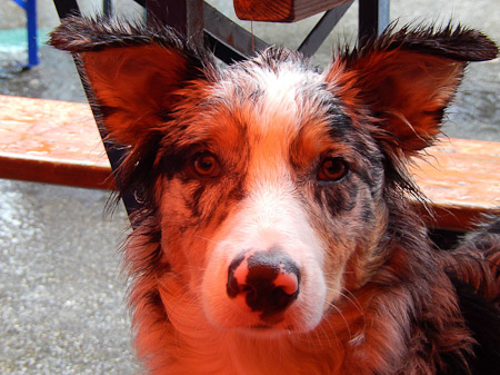 COOLPIX S9500- 1/25 Sek. bei f / 5,6- 214