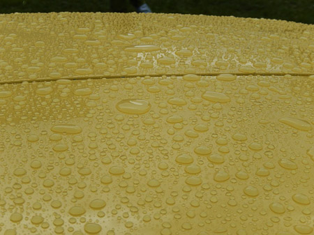 COOLPIX S9500- 1/1250 Sek. bei f / 5,3- 214