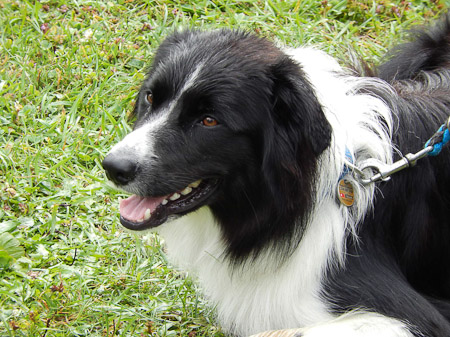 COOLPIX S9500- 1/125 Sek. bei f / 6,0- 214