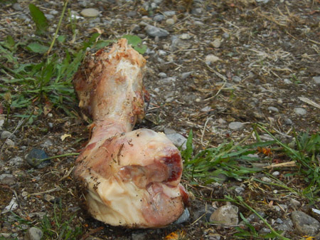 COOLPIX S9500- 1/250 Sek. bei f / 6,3- 226