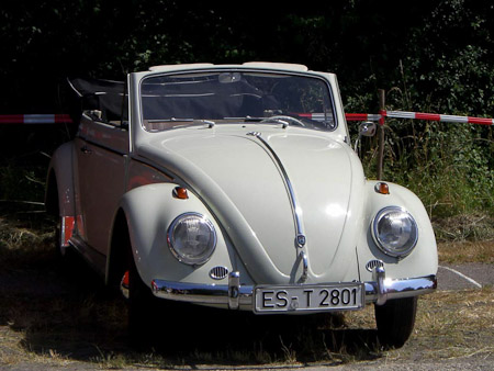 EX-Z700- 1/250 Sek. bei f / 8,3- 165