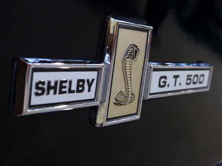 DMC-TZ31- 1/4 Sek. bei f / 4,2- 236