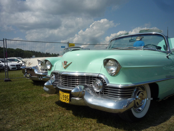 DMC-LZ8- 1/800 Sek. bei f / 6,3- 573