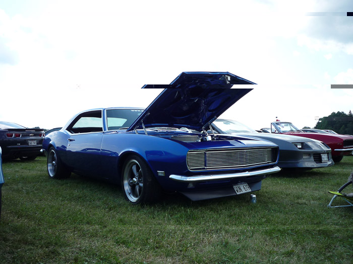 DMC-LZ8- 1/400 Sek. bei f / 4,0- 573