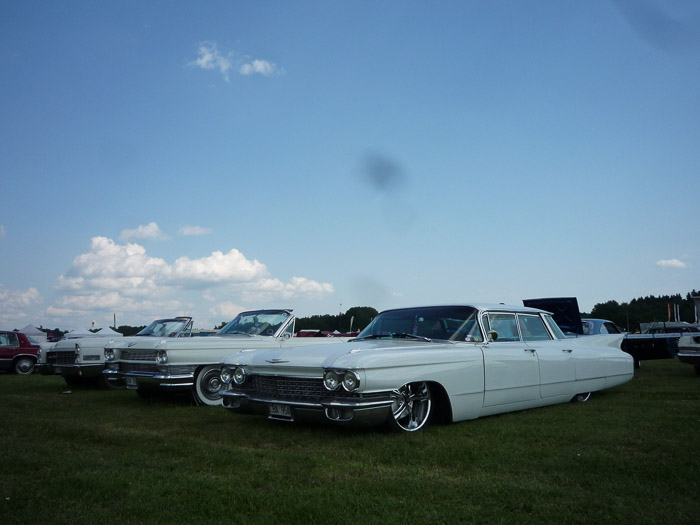 DMC-LZ8- 1/500 Sek. bei f / 5,6- 573