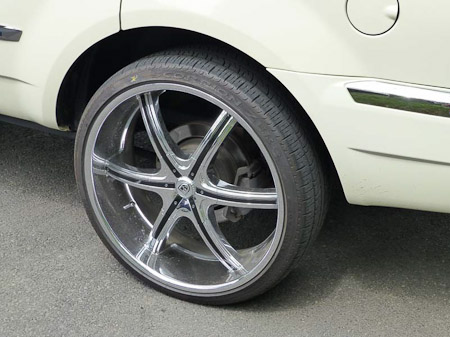 DMC-TZ31- 1/320 Sek. bei f / 4,6- 256