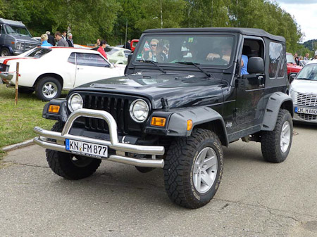 DMC-TZ31- 1/320 Sek. bei f / 4,1- 307