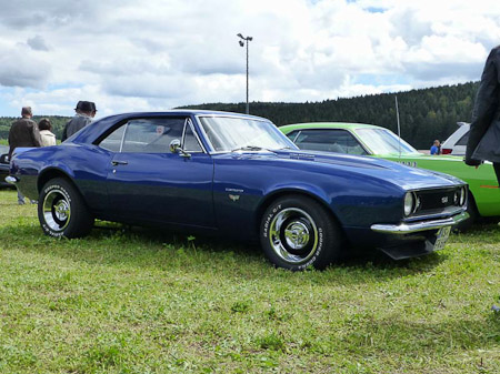 DMC-TZ31- 1/800 Sek. bei f / 3,9- 307