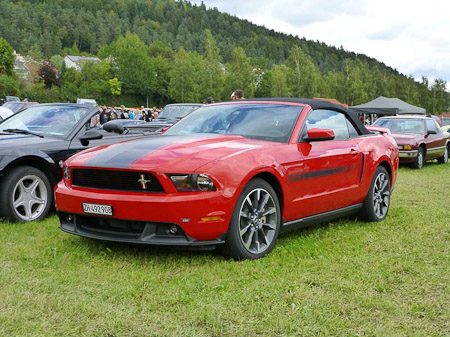 DMC-TZ31- 1/320 Sek. bei f / 4,4- 307