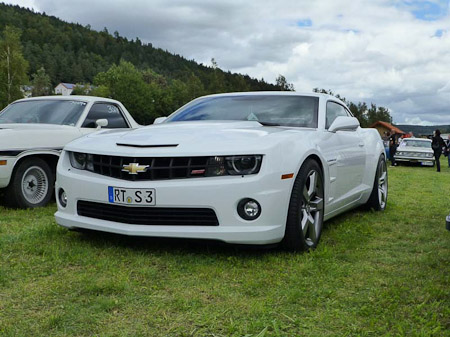DMC-TZ31- 1/800 Sek. bei f / 4,5- 307