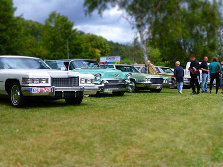 DMC-TZ31- 1/500 Sek. bei f / 4,2- 307