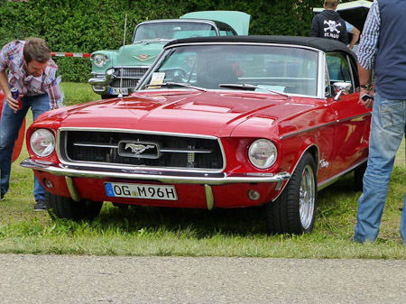 DMC-TZ31- 1/320 Sek. bei f / 5,2- 307