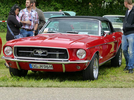 DMC-TZ31- 1/400 Sek. bei f / 5,2- 307