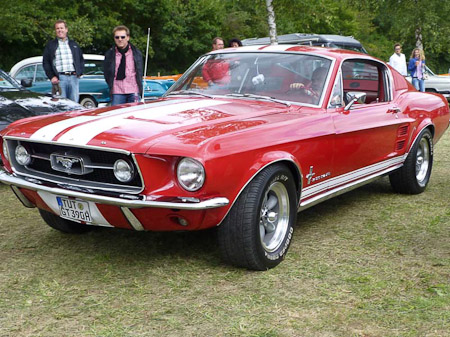 DMC-TZ31- 1/200 Sek. bei f / 4,1- 307