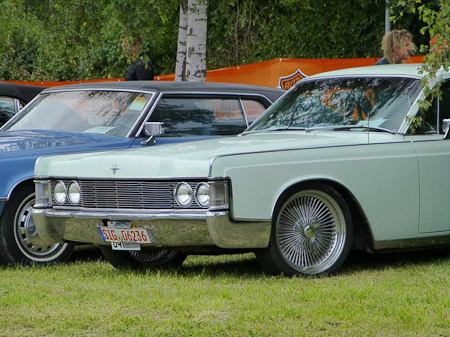 DMC-TZ31- 1/320 Sek. bei f / 5,6- 307