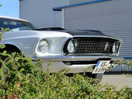 DMC-TZ31- 1/640 Sek. bei f / 5,0- 307