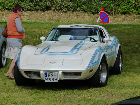 DMC-TZ31- 1/1250 Sek. bei f / 5,5- 307