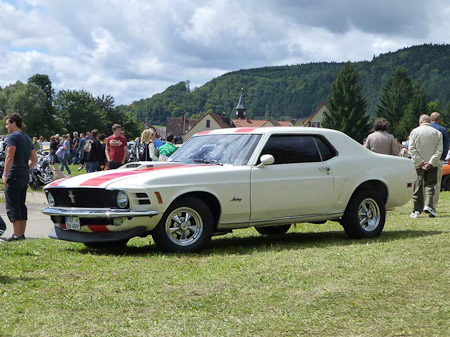 DMC-TZ31- 1/800 Sek. bei f / 5,1- 307