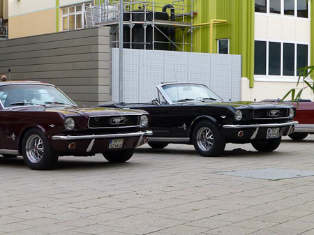 DMC-TZ31- 1/60 Sek. bei f / 5,0- 87