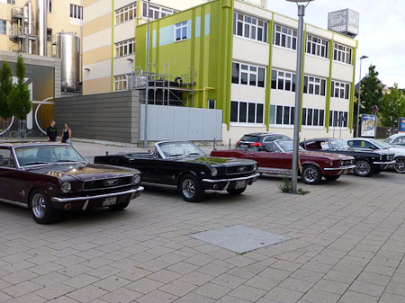 DMC-TZ31- 1/100 Sek. bei f / 3,6- 87
