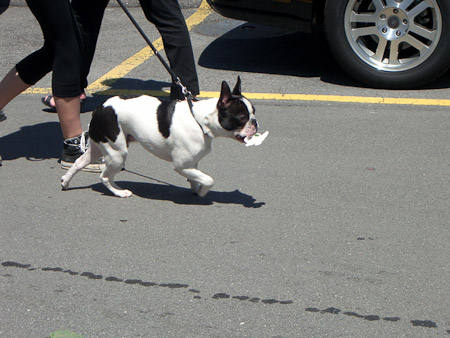 EX-Z850- 1/500 Sek. bei f / 5,1- 394