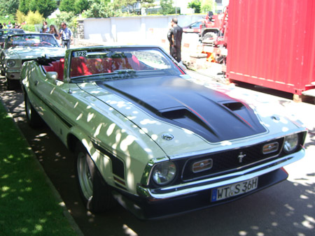 EX-Z850- 1/250 Sek. bei f / 2,8- 394