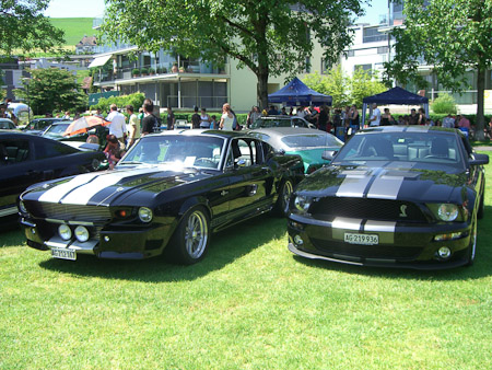 EX-Z850- 1/500 Sek. bei f / 2,8- 394