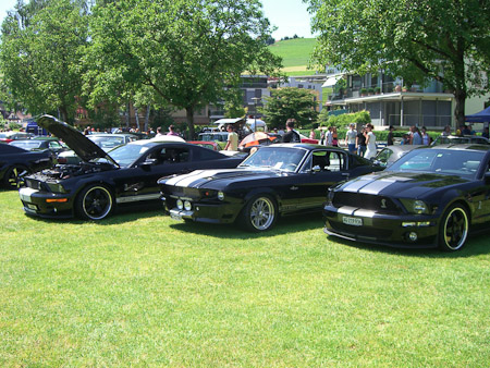 EX-Z850- 1/500 Sek. bei f / 2,8- 394