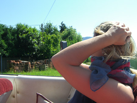 EX-Z850- 1/500 Sek. bei f / 4,0- 394