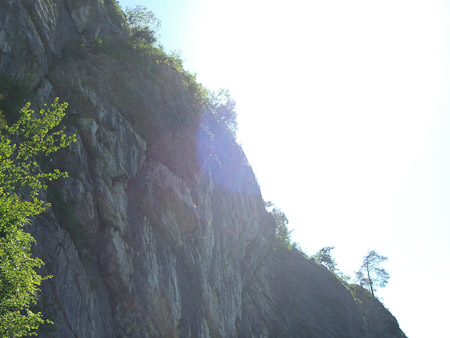 EX-Z850- 1/500 Sek. bei f / 4,0- 394